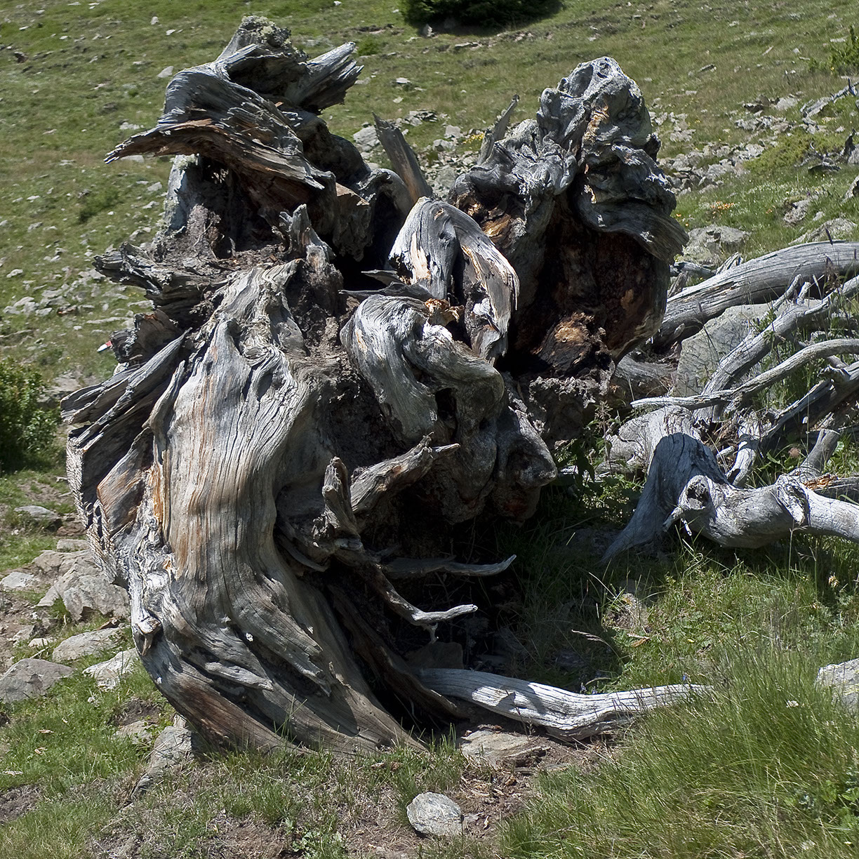 %_tempFileNameSTRUKTUR%20-%20014%