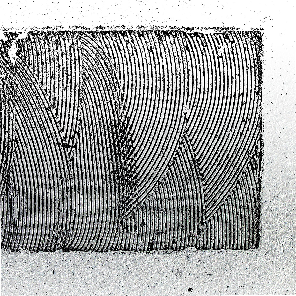 %_tempFileNameSTRUKTUR%20-%20019%