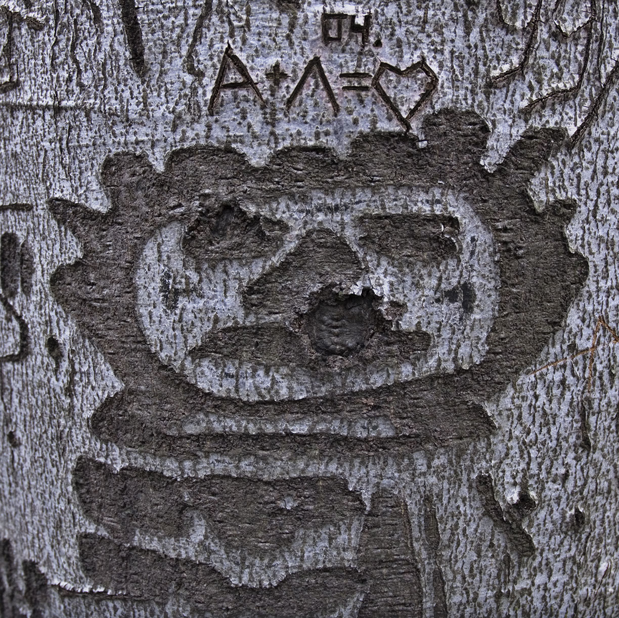 %_tempFileNameSTRUKTUR%20-%20025%