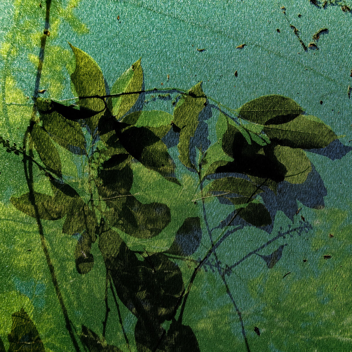 %_tempFileNameSTRUKTUR%20-%20031%