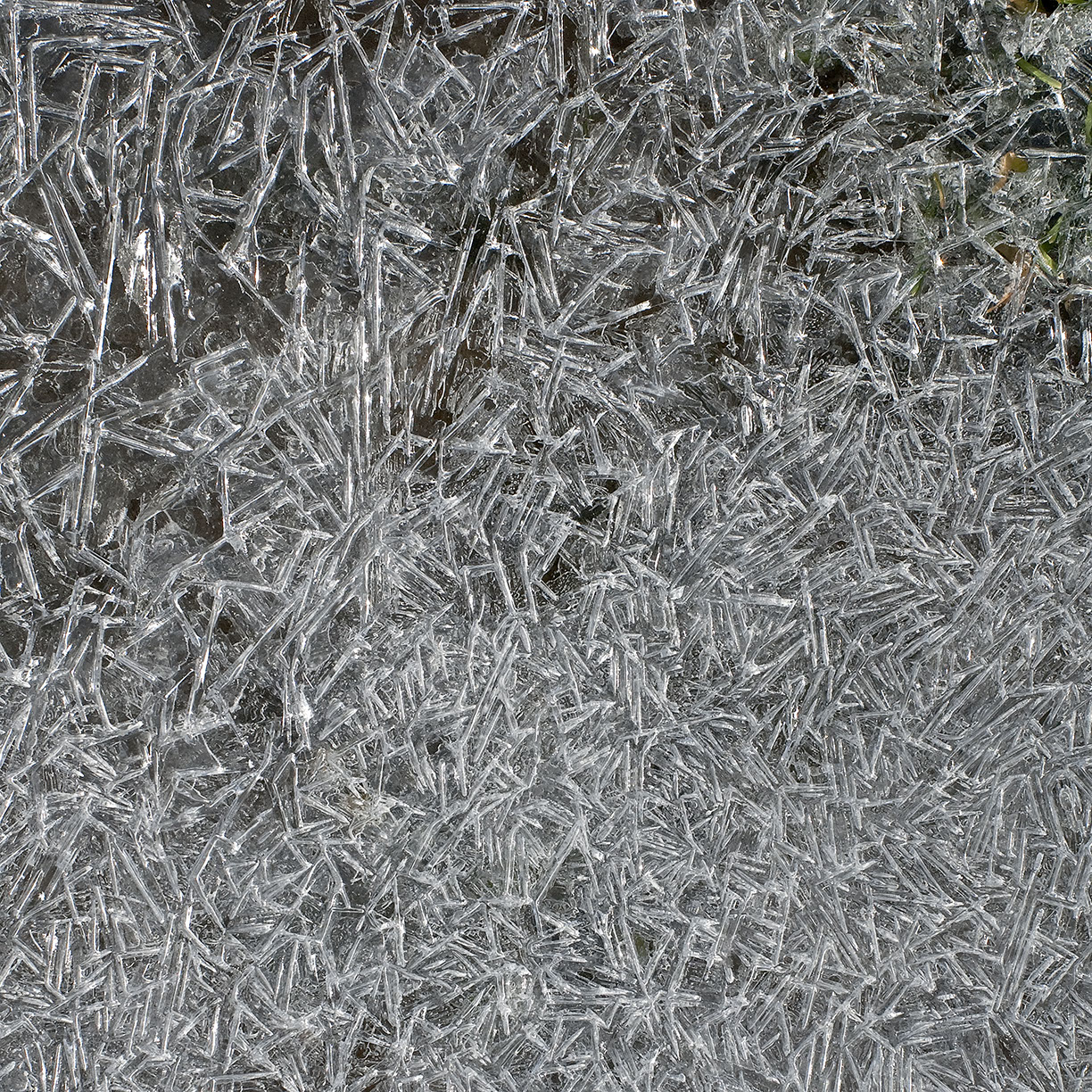 %_tempFileNameSTRUKTUR%20-%20036%