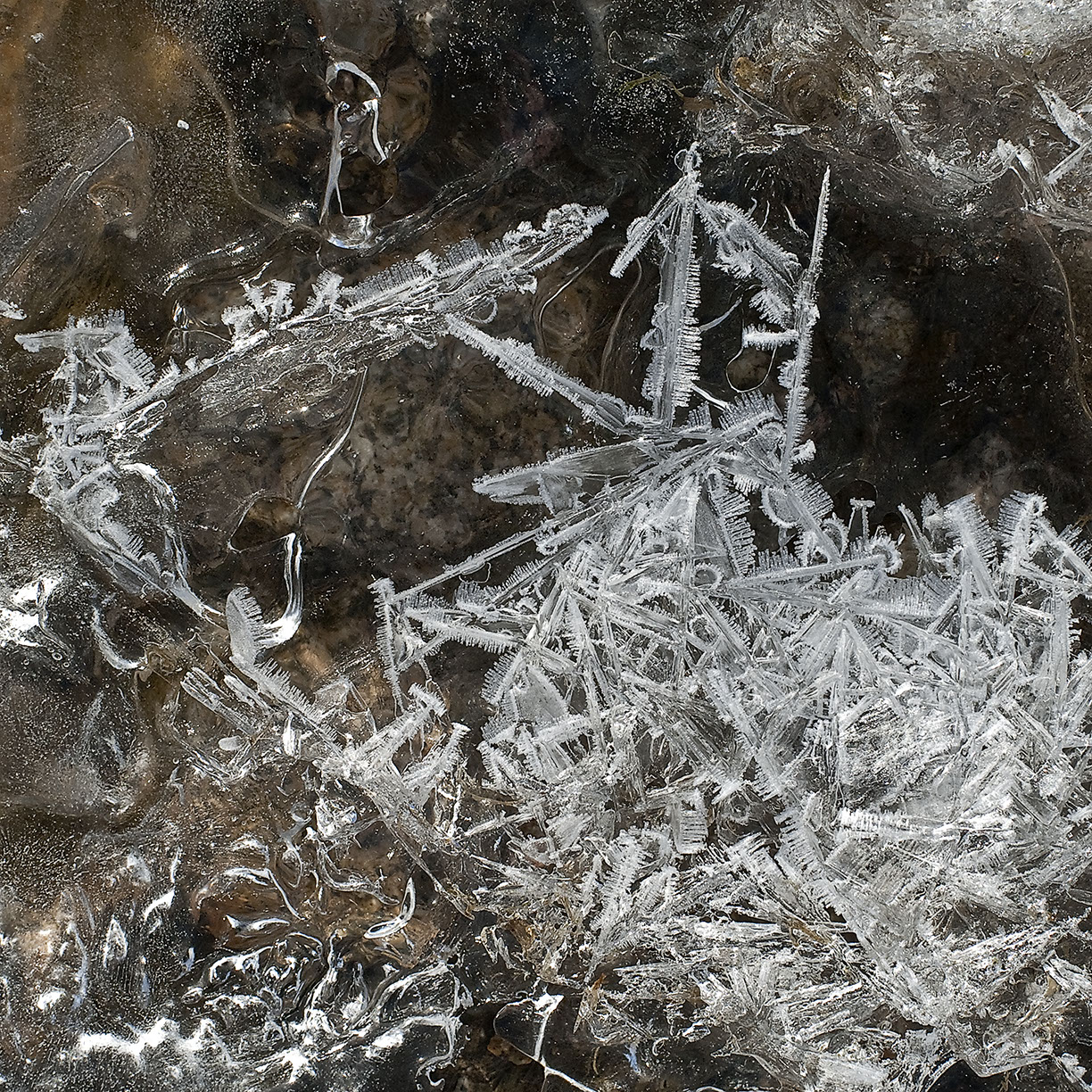 %_tempFileNameSTRUKTUR%20-%20038%