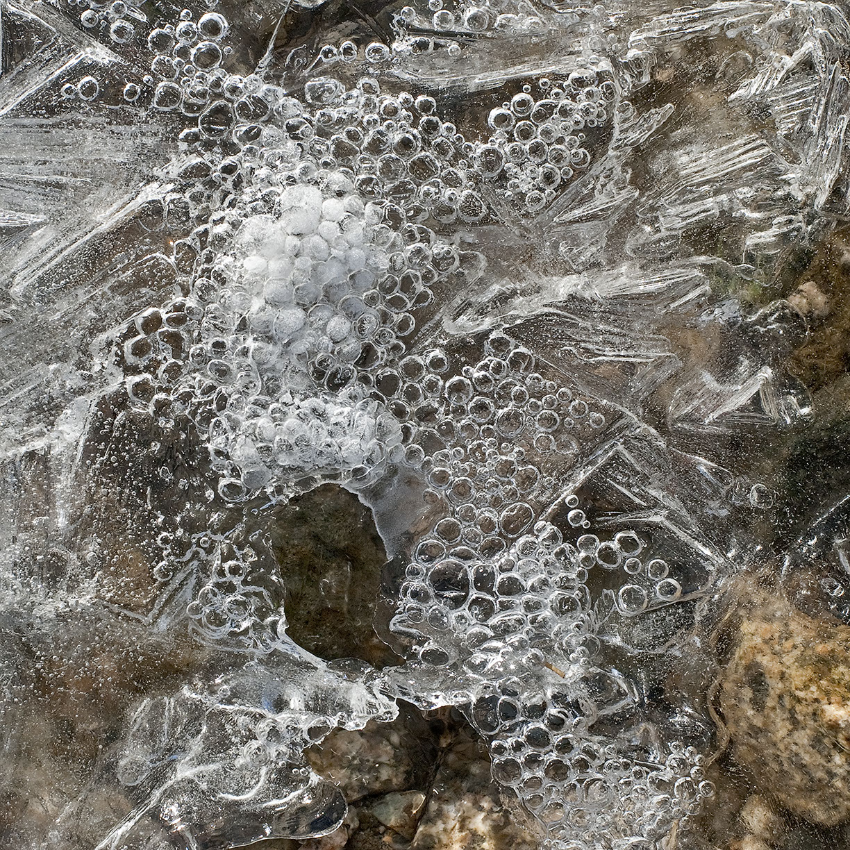 %_tempFileNameSTRUKTUR%20-%20039%