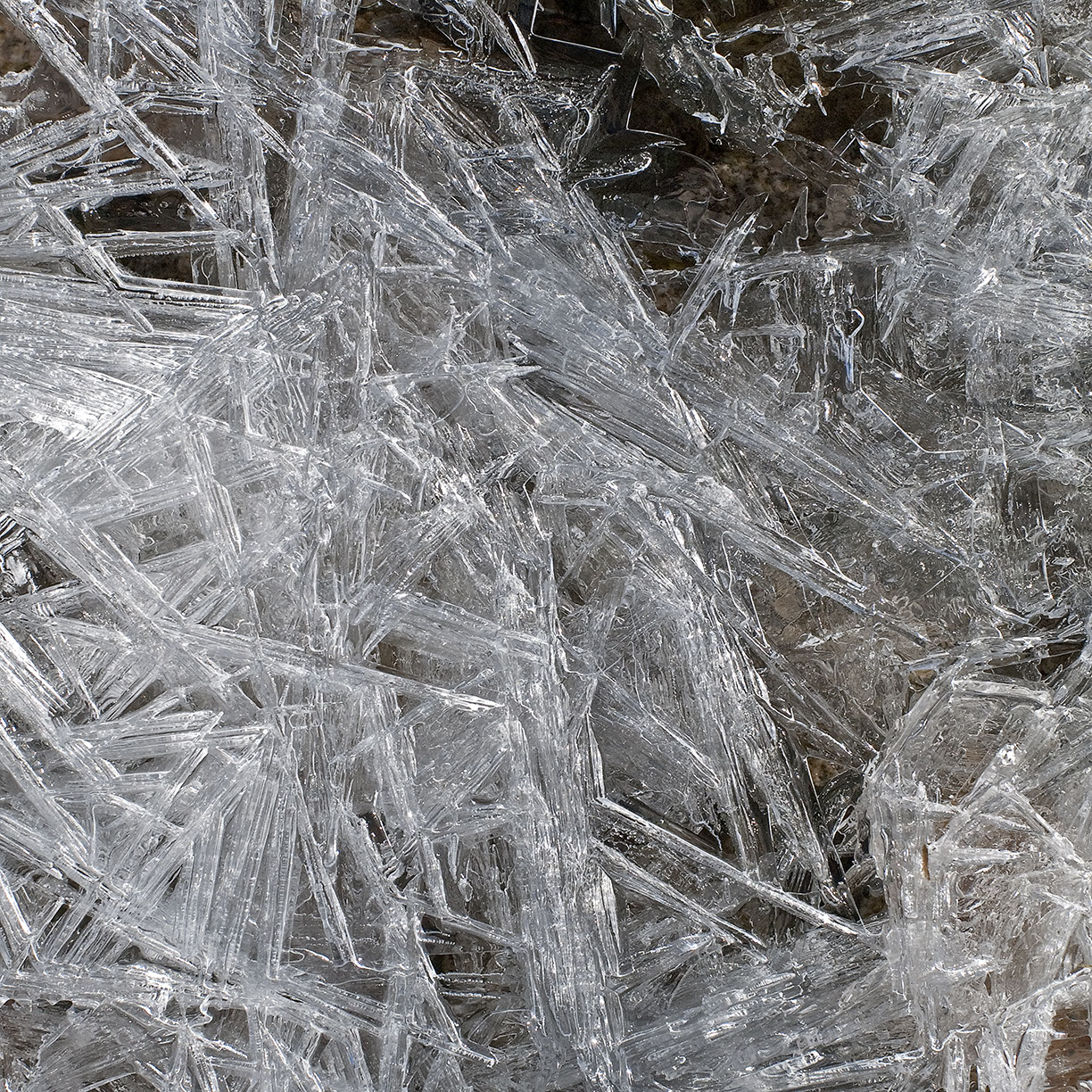 %_tempFileNameSTRUKTUR%20-%20043%