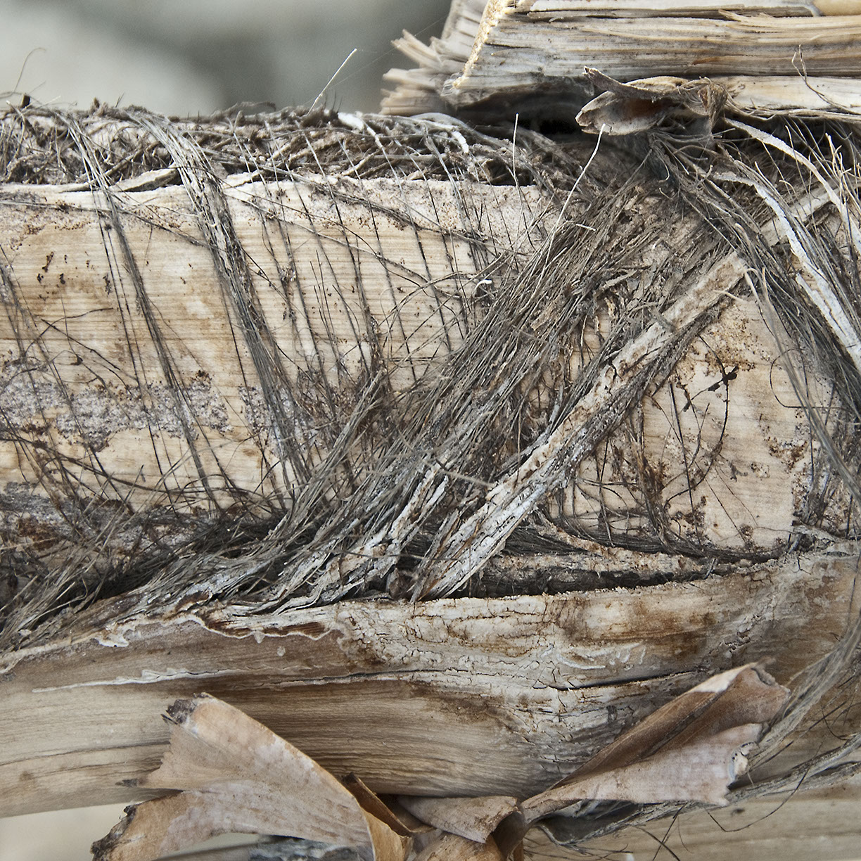 %_tempFileNameSTRUKTUR%20-%20045%