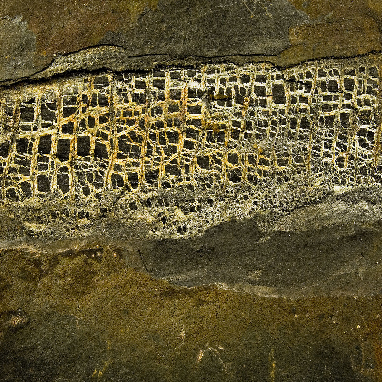 %_tempFileNameSTRUKTUR%20-%20048%