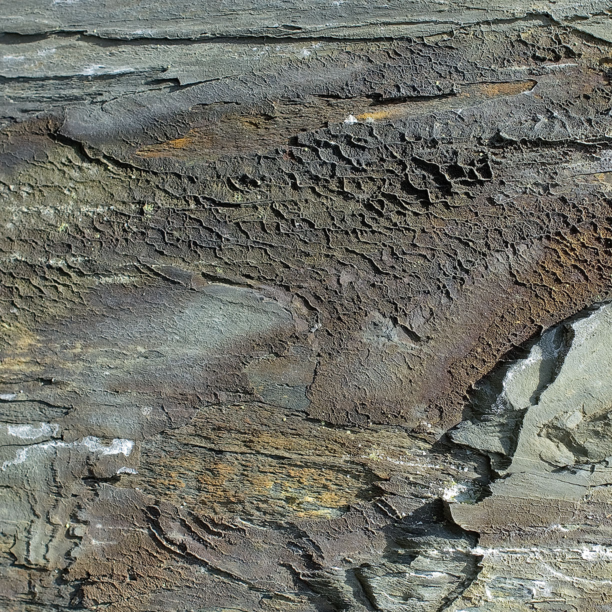 %_tempFileNameSTRUKTUR%20-%20052%