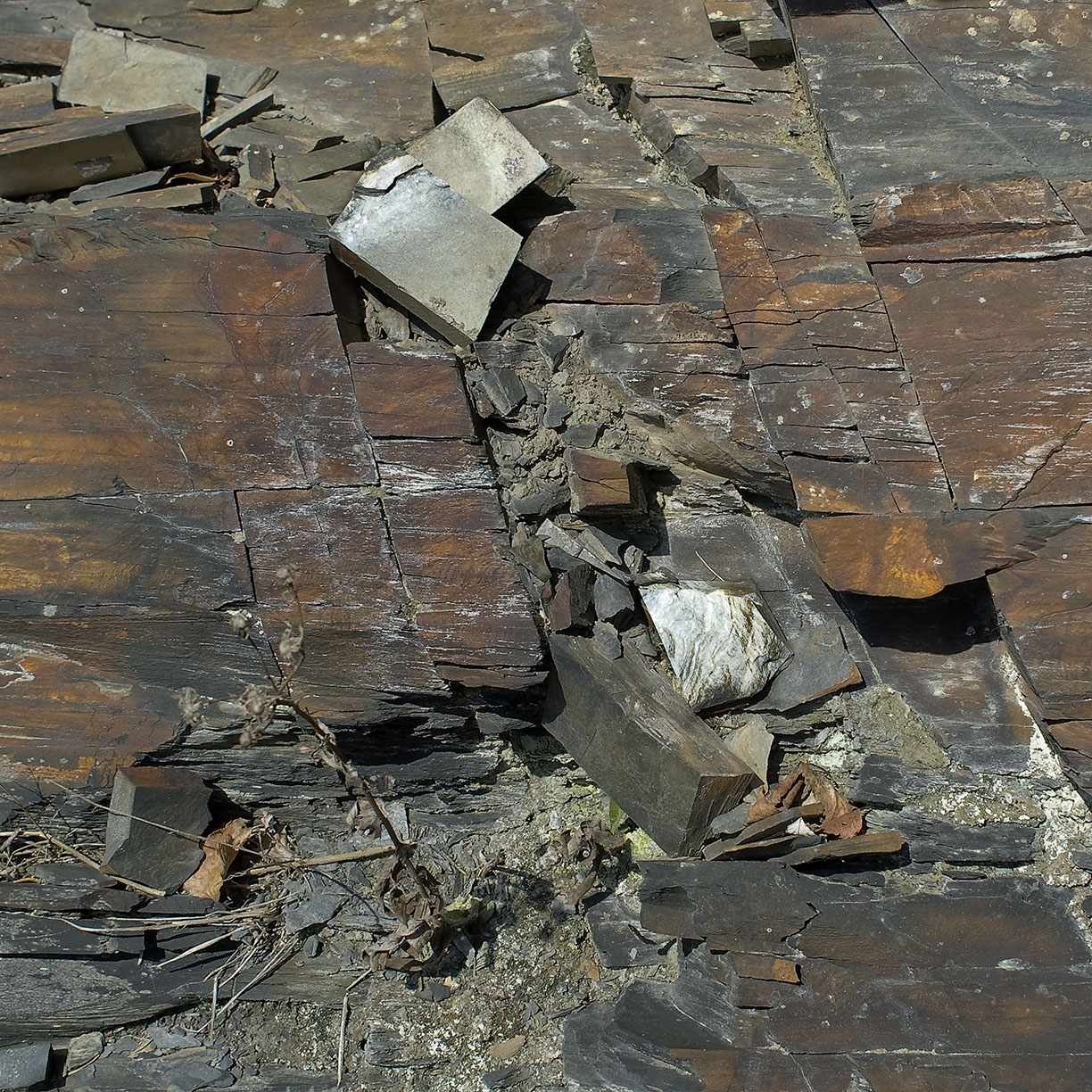 %_tempFileNameSTRUKTUR%20-%20055%