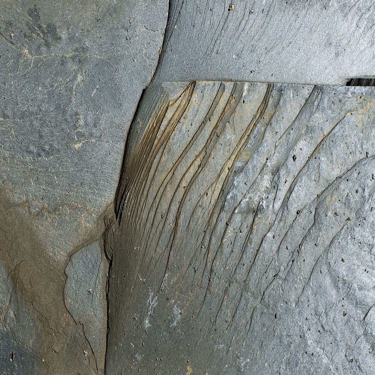 %_tempFileNameSTRUKTUR%20-%20056%