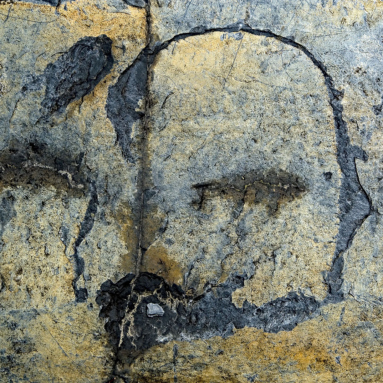 %_tempFileNameSTRUKTUR%20-%20062%