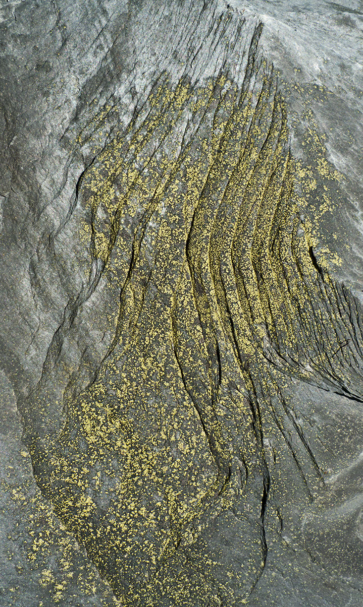 %_tempFileNameSTRUKTUR%20-%20063%