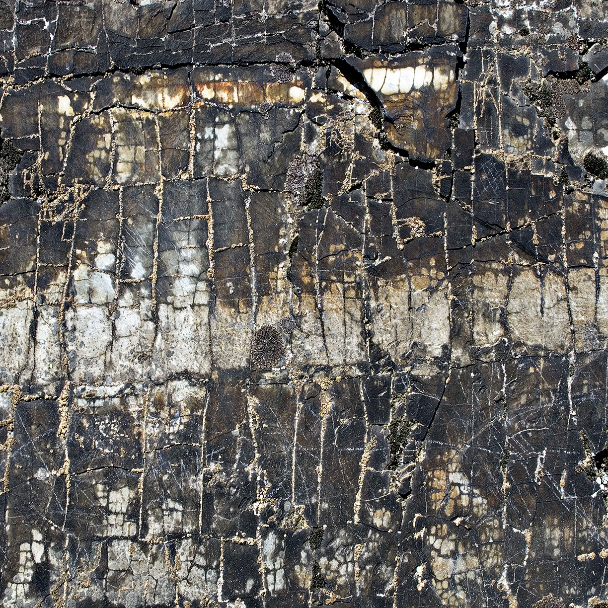 %_tempFileNameSTRUKTUR%20-%20067%