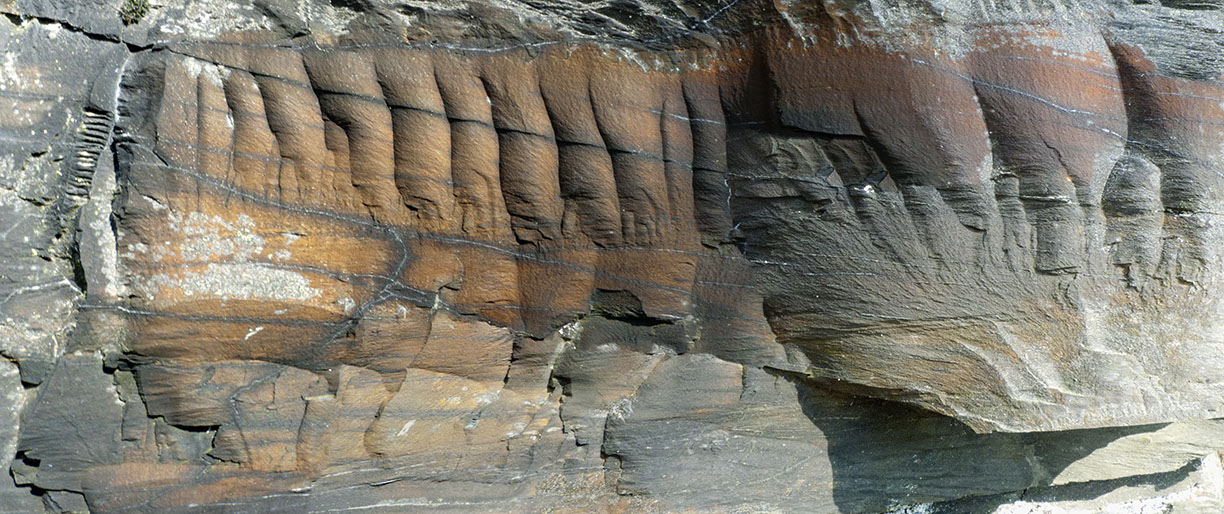 %_tempFileNameSTRUKTUR%20-%20069%