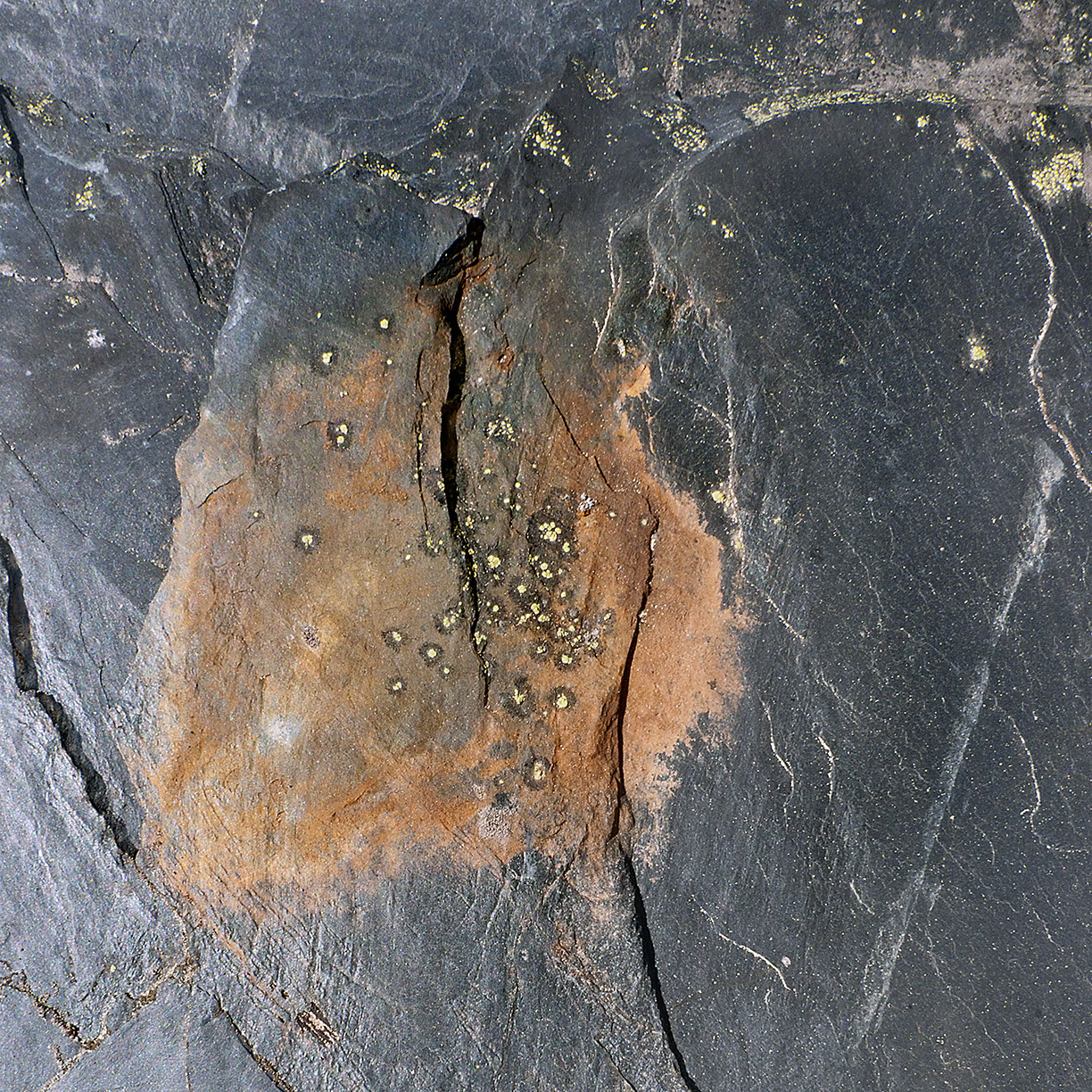 %_tempFileNameSTRUKTUR%20-%20072%