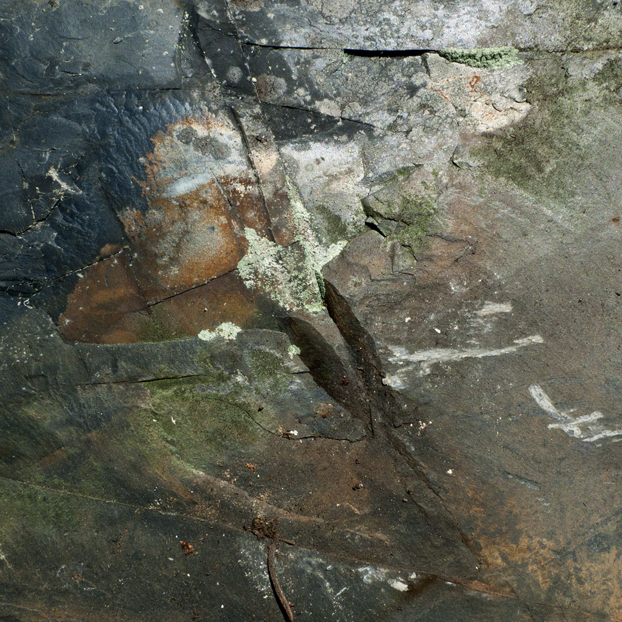 %_tempFileNameSTRUKTUR%20-%20073%