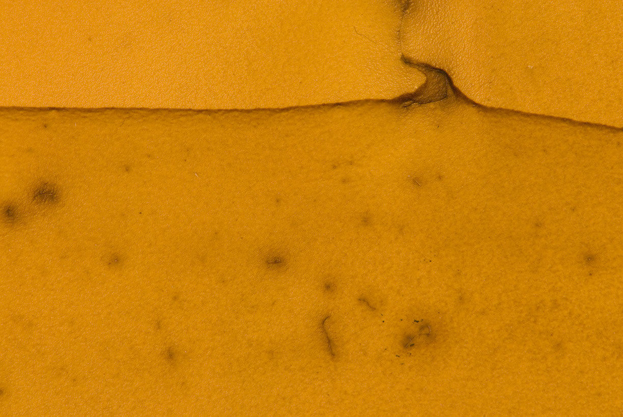 %_tempFileNameSTRUKTUR%20-%20078%