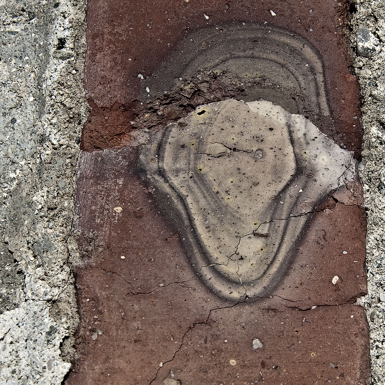 %_tempFileNameSTRUKTUR%20-%20082%