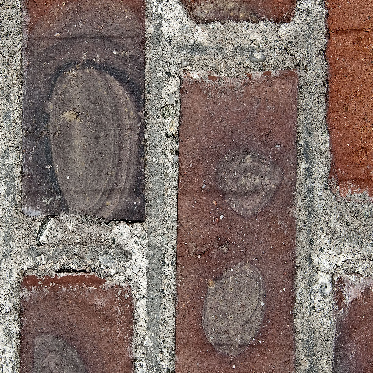 %_tempFileNameSTRUKTUR%20-%20083%