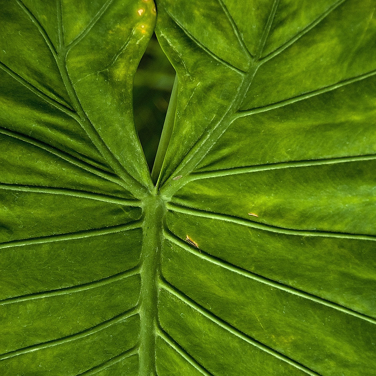 %_tempFileNameSTRUKTUR%20-%20087%