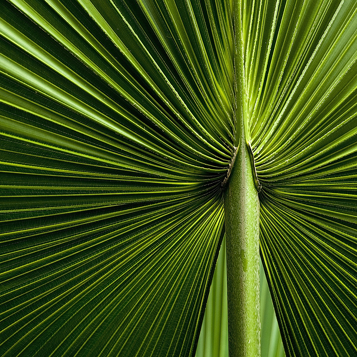 %_tempFileNameSTRUKTUR%20-%20088%