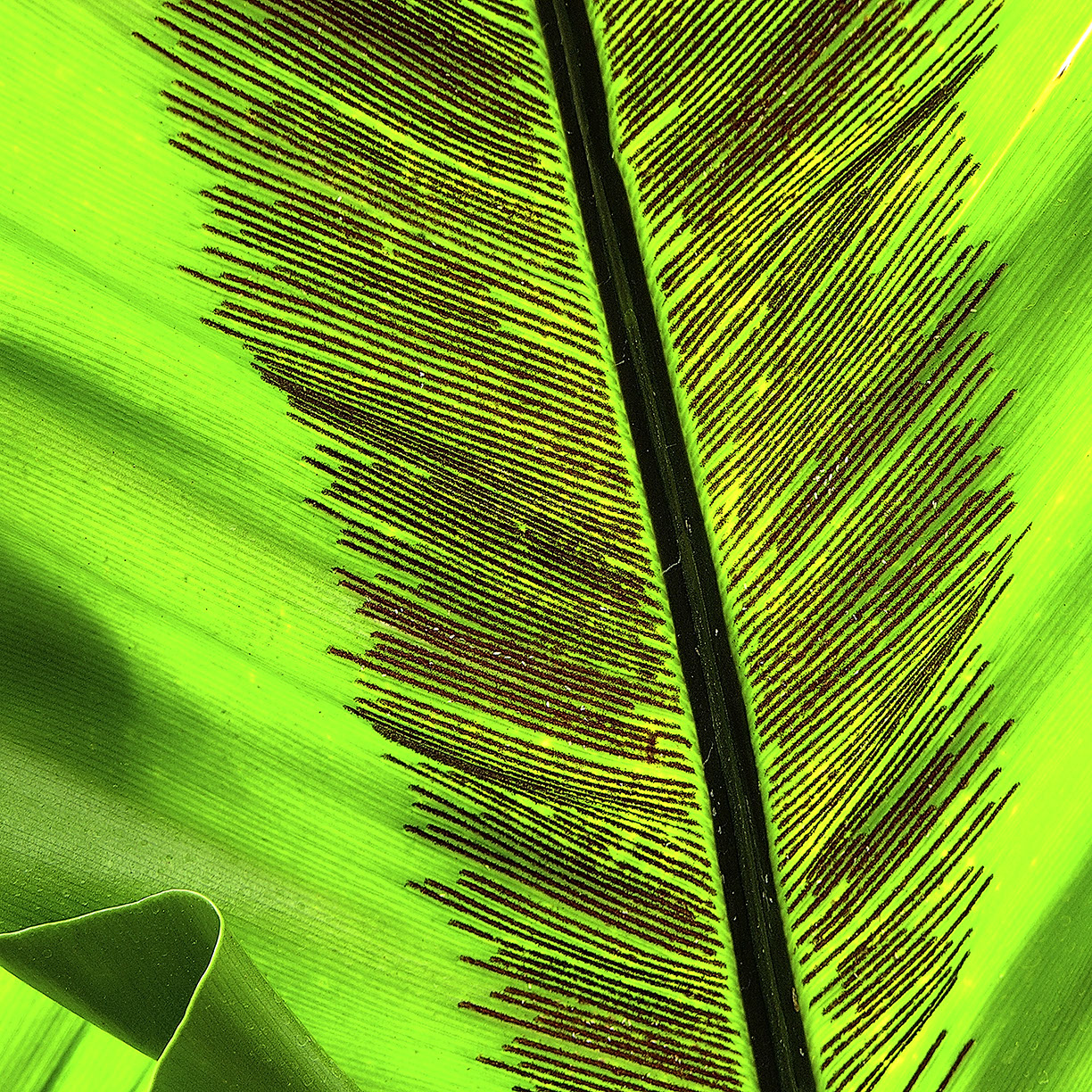 %_tempFileNameSTRUKTUR%20-%20089%