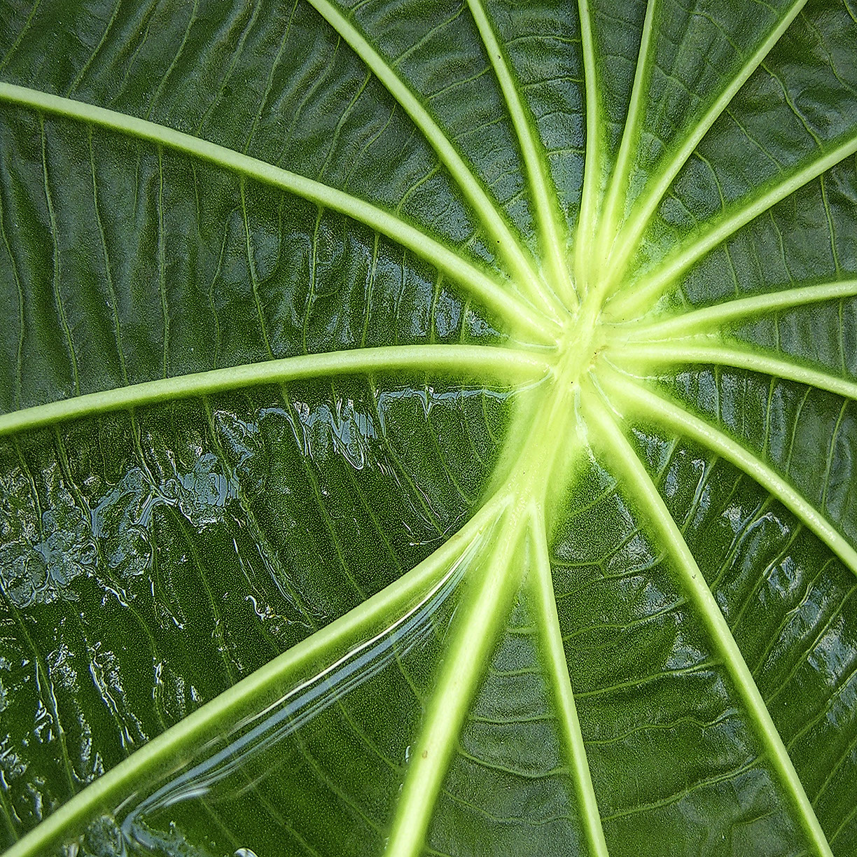 %_tempFileNameSTRUKTUR%20-%20090%