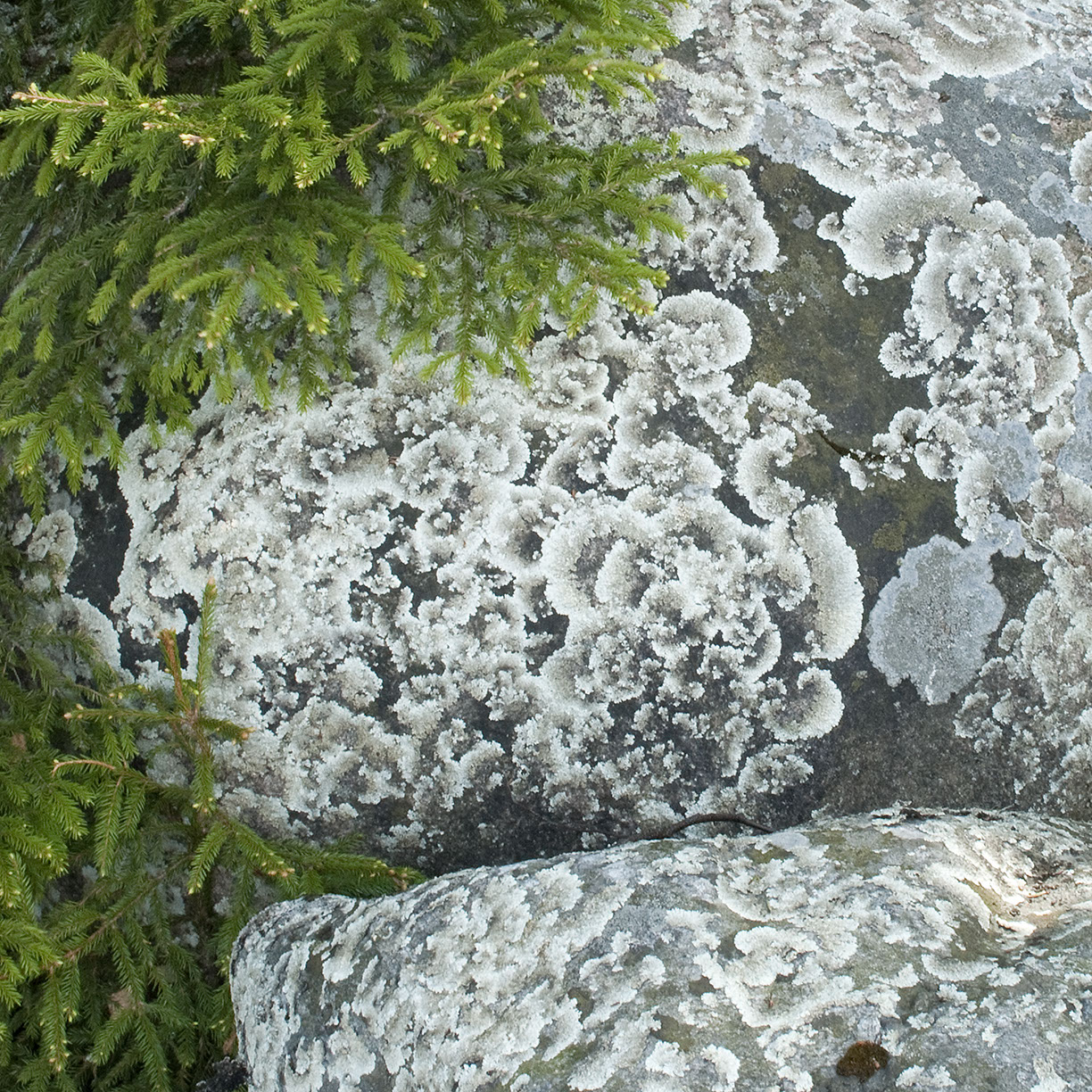 %_tempFileNameSTRUKTUR%20-%20092%