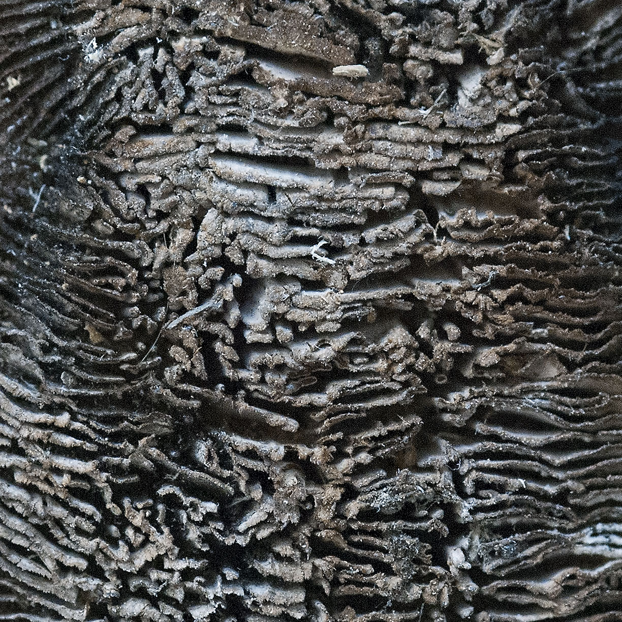 %_tempFileNameSTRUKTUR%20-%20093%