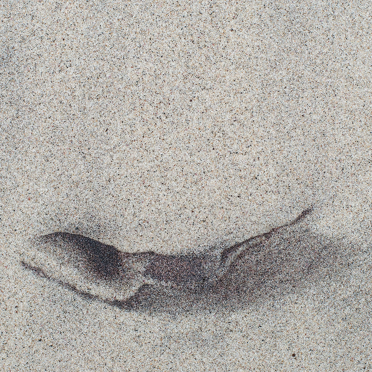 %_tempFileNameSTRUKTUR%20-%20094%