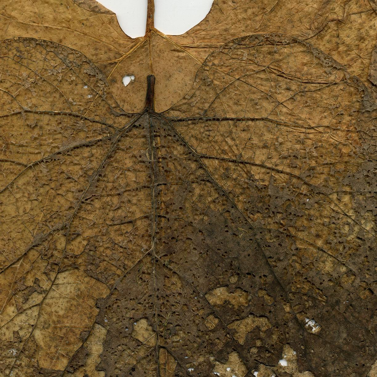 %_tempFileNameSTRUKTUR%20-%20095%