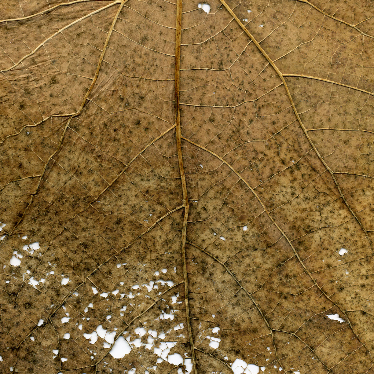 %_tempFileNameSTRUKTUR%20-%20096%