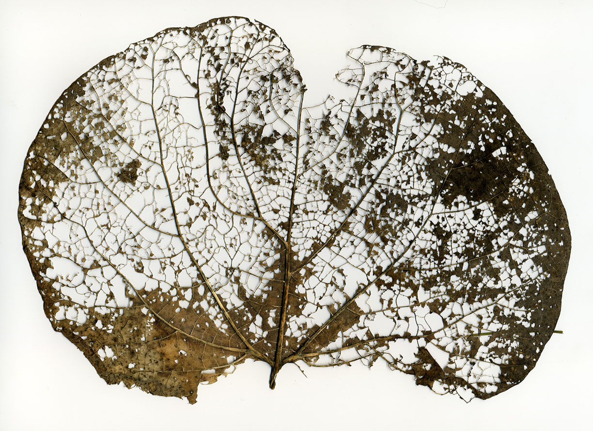 %_tempFileNameSTRUKTUR%20-%20099%