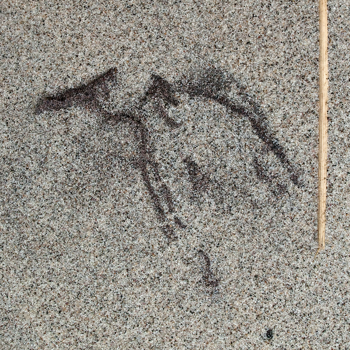 %_tempFileNameSTRUKTUR%20-%20100%