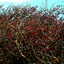 %_tempFileNameSTRUKTUR%20-%20003%