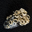 %_tempFileNameSTRUKTUR%20-%20004%