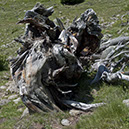 %_tempFileNameSTRUKTUR%20-%20014%