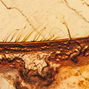 %_tempFileNameSTRUKTUR%20-%20020%