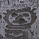 %_tempFileNameSTRUKTUR%20-%20025%