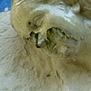 %_tempFileNameSTRUKTUR%20-%20028%