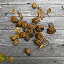 %_tempFileNameSTRUKTUR%20-%20032%