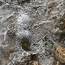 %_tempFileNameSTRUKTUR%20-%20039%