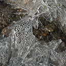 %_tempFileNameSTRUKTUR%20-%20040%