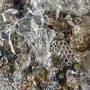 %_tempFileNameSTRUKTUR%20-%20042%