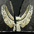 %_tempFileNameSTRUKTUR%20-%20049%