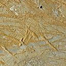 %_tempFileNameSTRUKTUR%20-%20050%