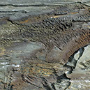 %_tempFileNameSTRUKTUR%20-%20052%