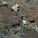 %_tempFileNameSTRUKTUR%20-%20055%