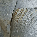 %_tempFileNameSTRUKTUR%20-%20056%