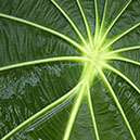 %_tempFileNameSTRUKTUR%20-%20090%