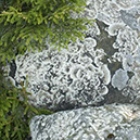 %_tempFileNameSTRUKTUR%20-%20092%